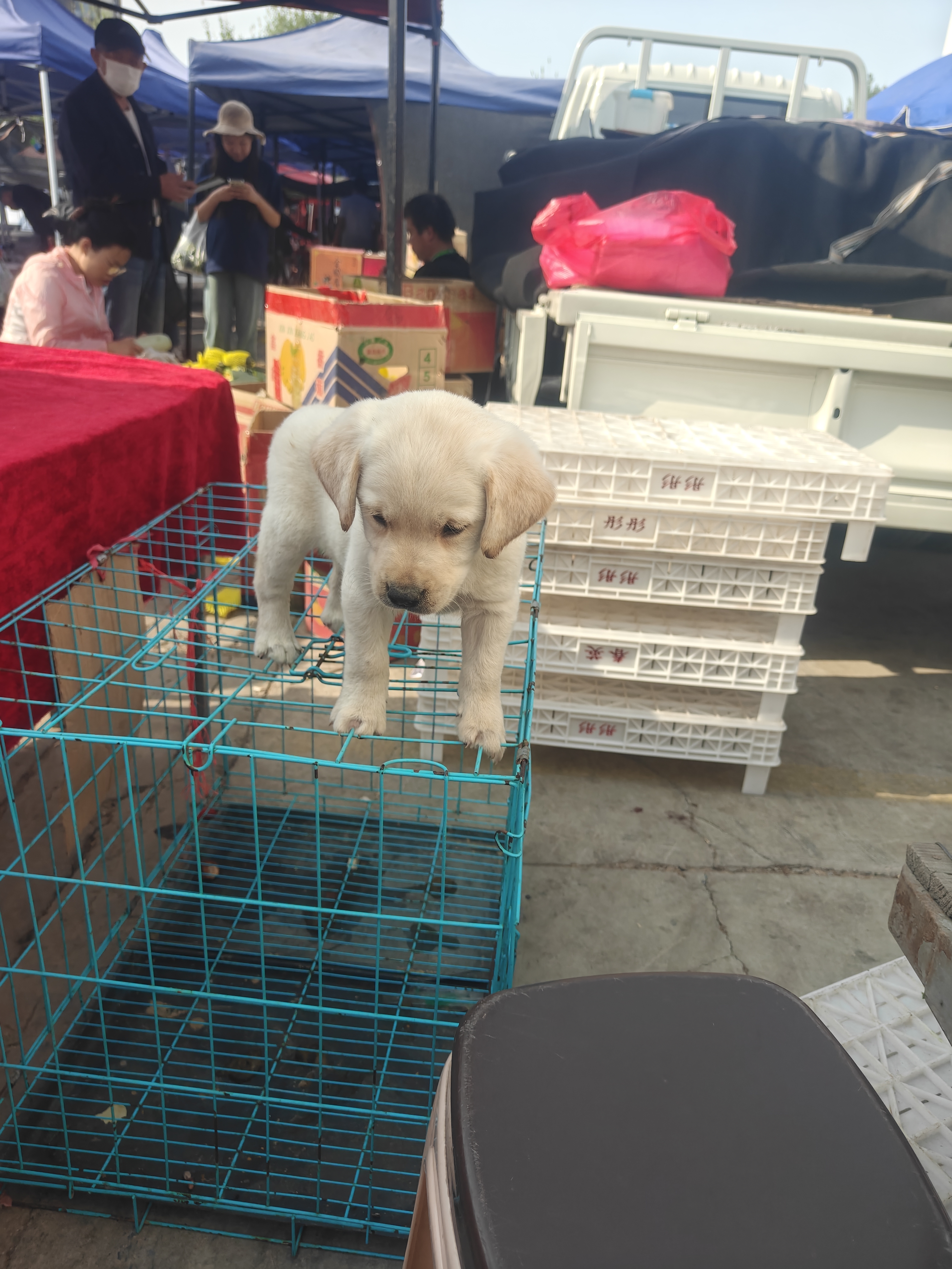 给拉拉宝宝我新家